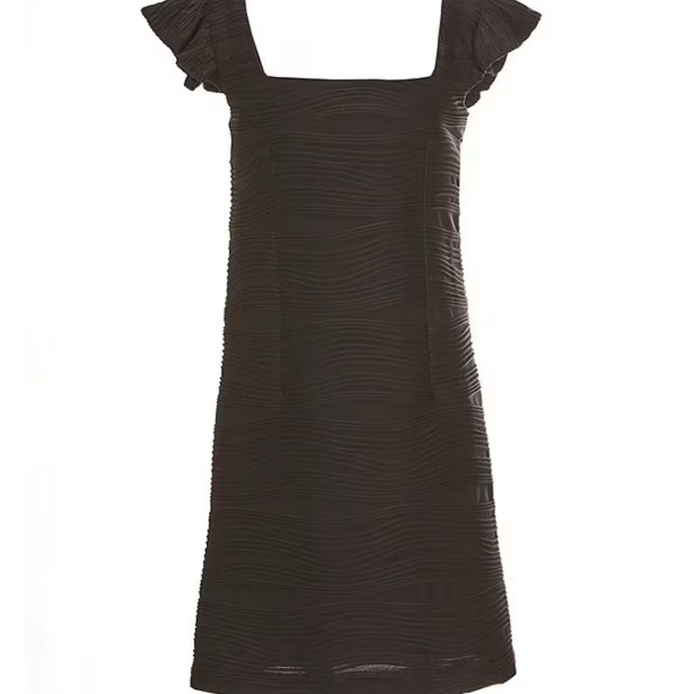 NWT -Elegant Black Ruffle Sleeve Dress